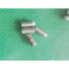 8 Deuwels Robbe 6048