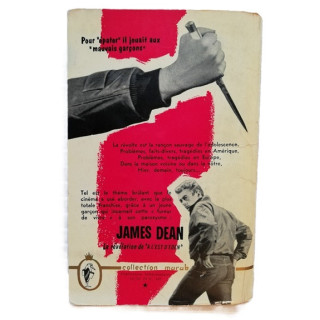La Fureur de Vivre par Nicholas RAY