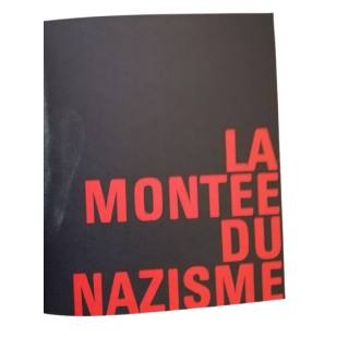 Het derde Rijk de opkomst van Nazisme