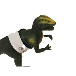 Superbe Velociraptor de 15 cm