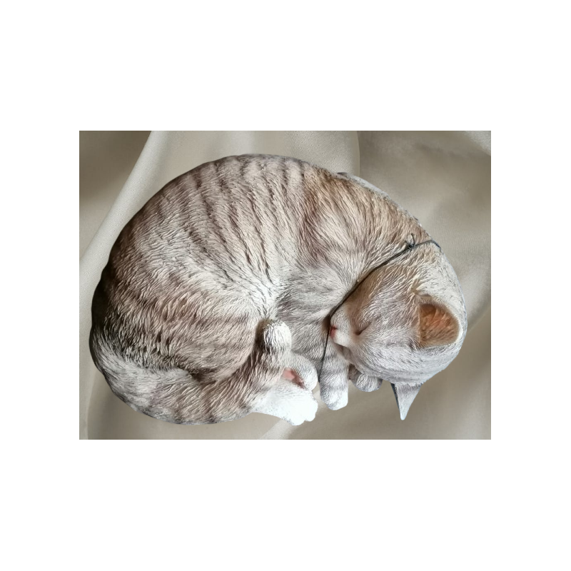Grigio addormentato Cat - Resina dipinta realistica - 90/2000