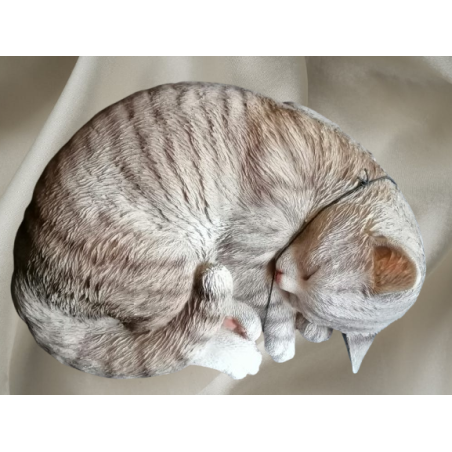 Grigio addormentato Cat - Resina dipinta realistica - 90/2000