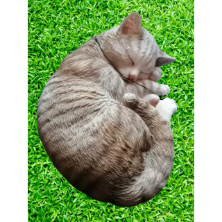Cat Dormido gris - Resina pintada realista - 90/20000