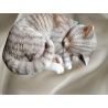 Cat Dormido gris - Resina pintada realista - 90/20000