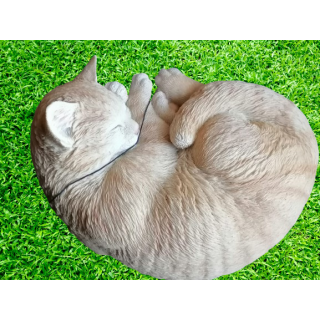 Roux Cat Soundormi - Realistische geschilderde hars - 90/2000's
