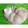 Sleeping red cat – realistic painted resin – Years 90/2000