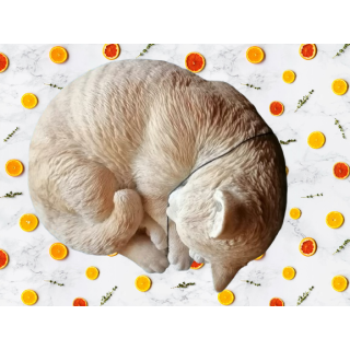 Sleeping red cat – realistic painted resin – Years 90/2000