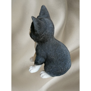 Cat Collection Cat - Elegância felina, exibição