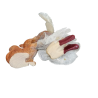 FIGURINE Fairy and Cat - decorativa porcellana / resina (90-2000)