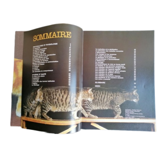 Edições 1981 Cat Enciclopédia Compreendendo seu gato
