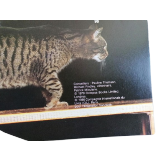 Editions 1981 Cat Encyclopedia Understanding His Cat