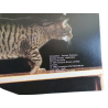 Edições 1981 Cat Enciclopédia Compreendendo seu gato