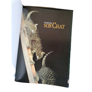 Edities 1981 Cat Encyclopedia zijn kat begrijpen