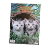 1981 Editions Encyclopedia of the Cat Understanding your cat