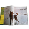 La pasión de los perros - Gründ (1976) | Libro alto ilustrado