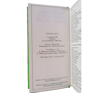 Früchte und Eis zubereiten - kreative Ausgaben