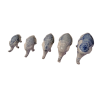 Lot de 5 éléphants en porcelaine bleue et blanche – déco artisanale élégante