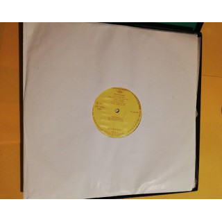 Johannes Brahms Vinyl Box: Room Music met 5 vinyls