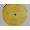 Johannes Brahms Vinyl Box: Música de quarto com 5 vinis