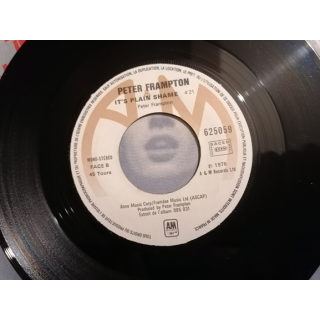 Peter Fronton - Mostre-me o caminho (45, França, 1976)