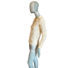 Blusa y2k Coast 100% seda transparente como novo