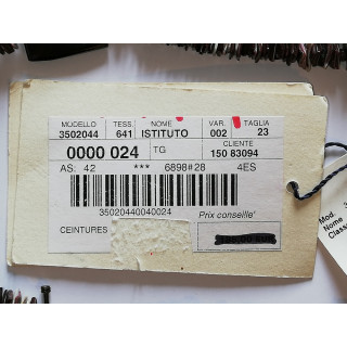 Cinturón Marina Rinaldi COLECTOR MODELO 3502044 TITUTO