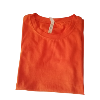 Lelietje van de T-shirt van de vallei