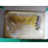 Box of 50 colourless mini-Ampoules Robbe 1663