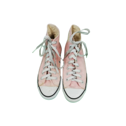 Tenis lienzo doc del perro vintage