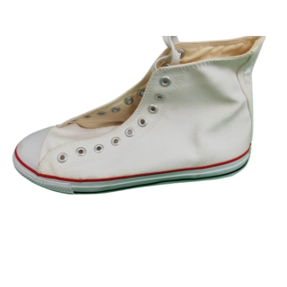 Tenis lienzo doc del perro vintage